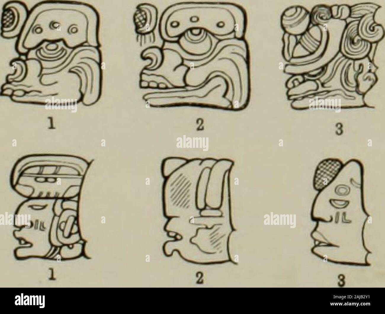 The numeration, calendar systems and astronomical knowledge of the Mayas .  0. Pal. Palace Steps. 35. Cop. St. N. 9.16.10. 0. 0 11. Cop. St. C (w). 36.  Qu. St. F (e).