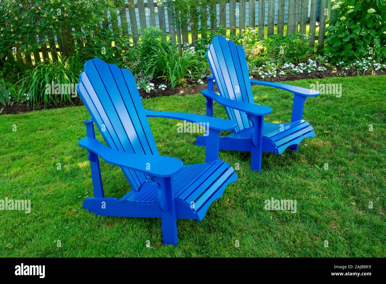 Blue Adirondack chairs in a back yard Stock Photo Alamy