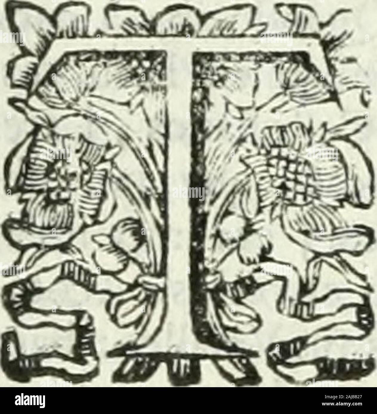 Historia general de los hechos de los castellanos en las islas i tierra firme del mar oceano . Dia procuraban de facarle^horadando á cada pafo las paredes , ihcchando fuego por las A goteas. Man-dó Cortés , por ella caula , á RodrigoiAlvarez Chico, Hombre valiente , i vi-gilante, que con íéfenta Soldados guar-dafe la Cafa por las efpaldas , haciéndo-los quaitos, de veinte en veinte &gt; i queAndrés de Monjaraz hiciefe lo mifmo,por delante del Palacio, con otra tantaGente. Era el fervicio , que allí teníaMotecuma de Gran Señor, porque lacomida , que fe le llevaba con los Pla-tos, los Hombres , Stock Photo