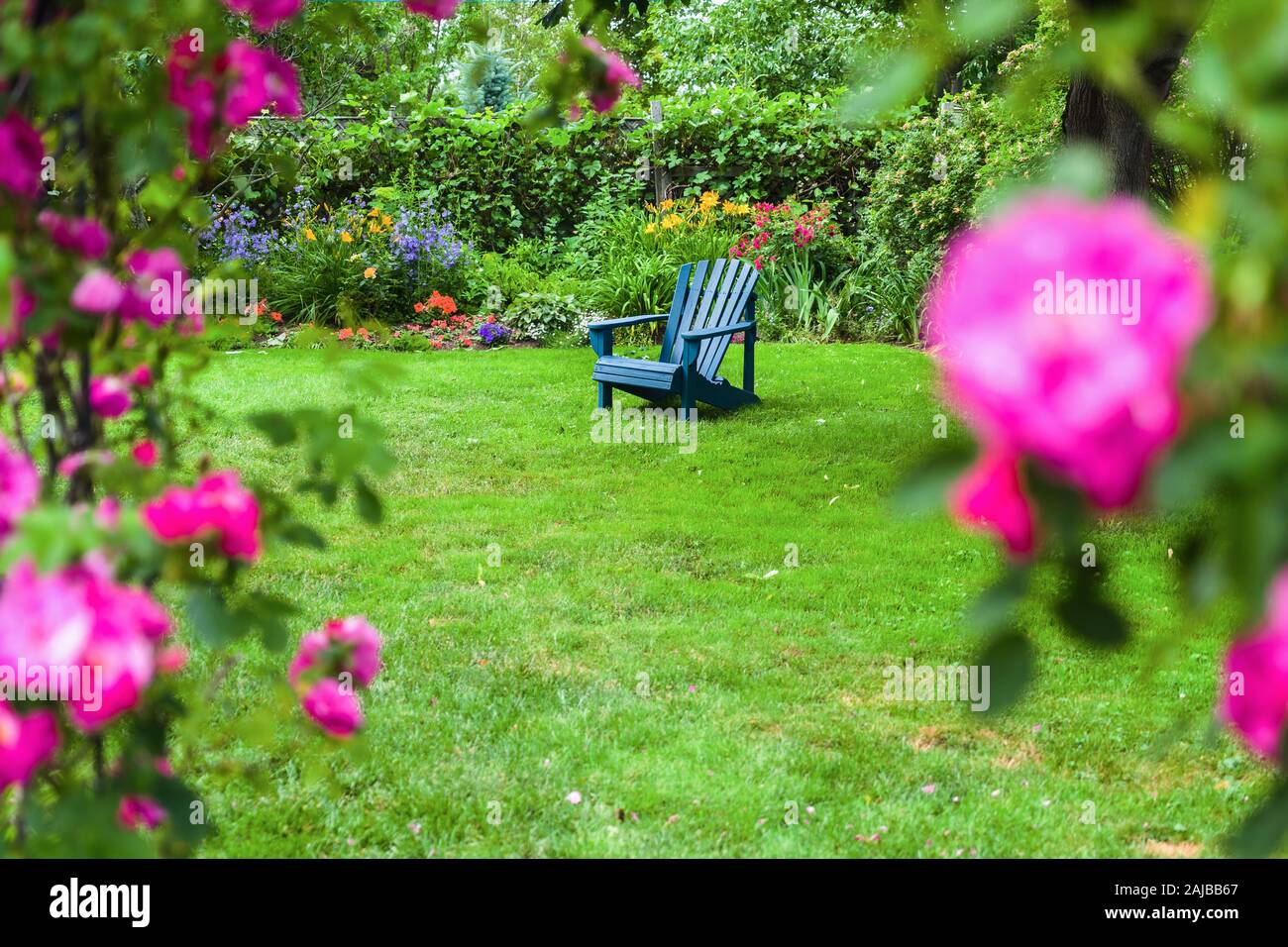 A lawn chair on the lawn in a rose garden. Stock Photo