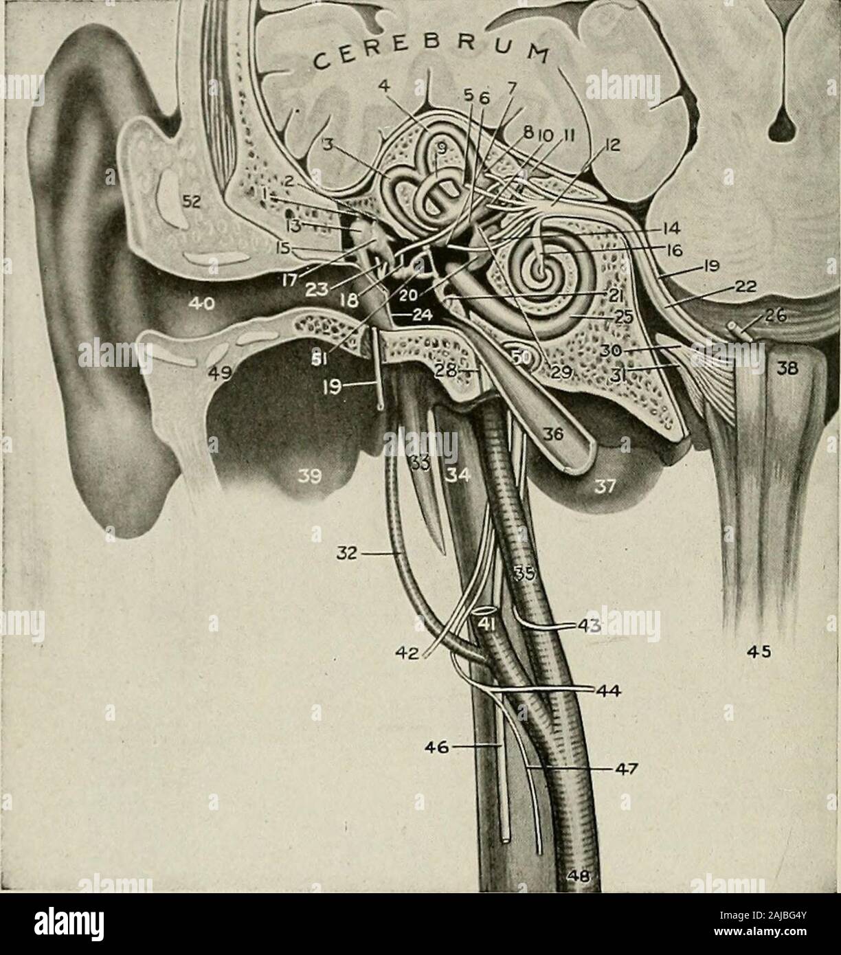 Random Antrum Surgical treatment; a practical treatise on the therapy of surgical ...