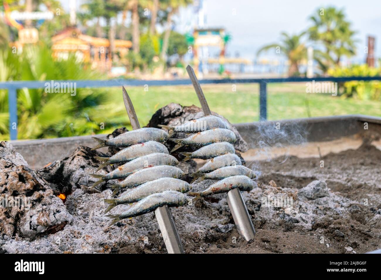 Espetos in Malaga: Discover the Best Grilled Sardines by the Sea