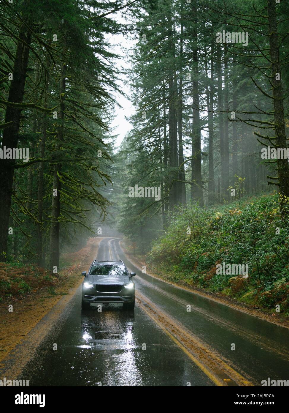 SUV automobile driving through foggy and rainy forest road Stock Photo ...