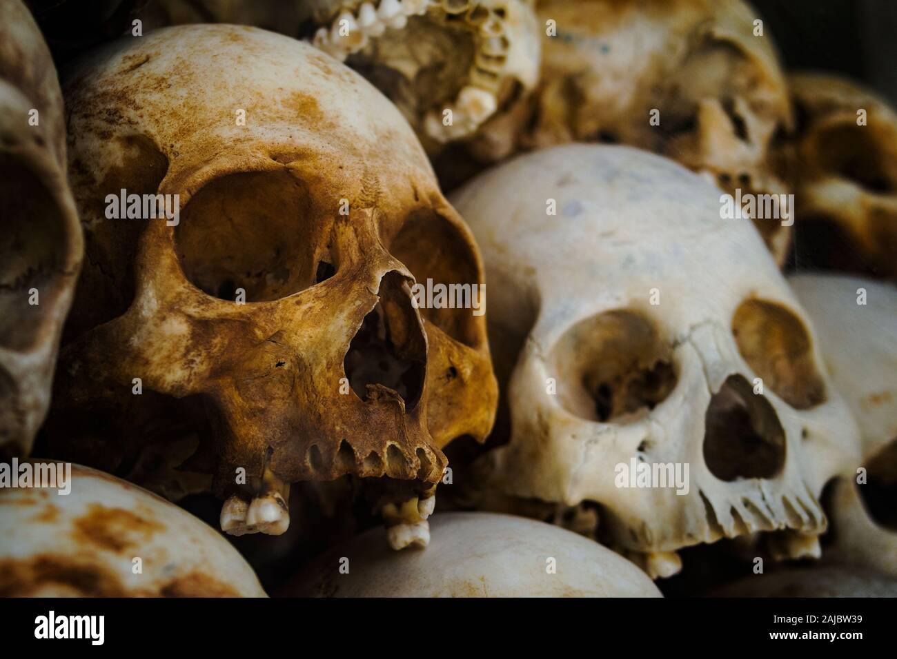 Human skulls of victims of the Khmer Rouge stacked at the Killing Fields of Choeung Ek memorial in Phnom Penh, Cambodia. Stock Photo