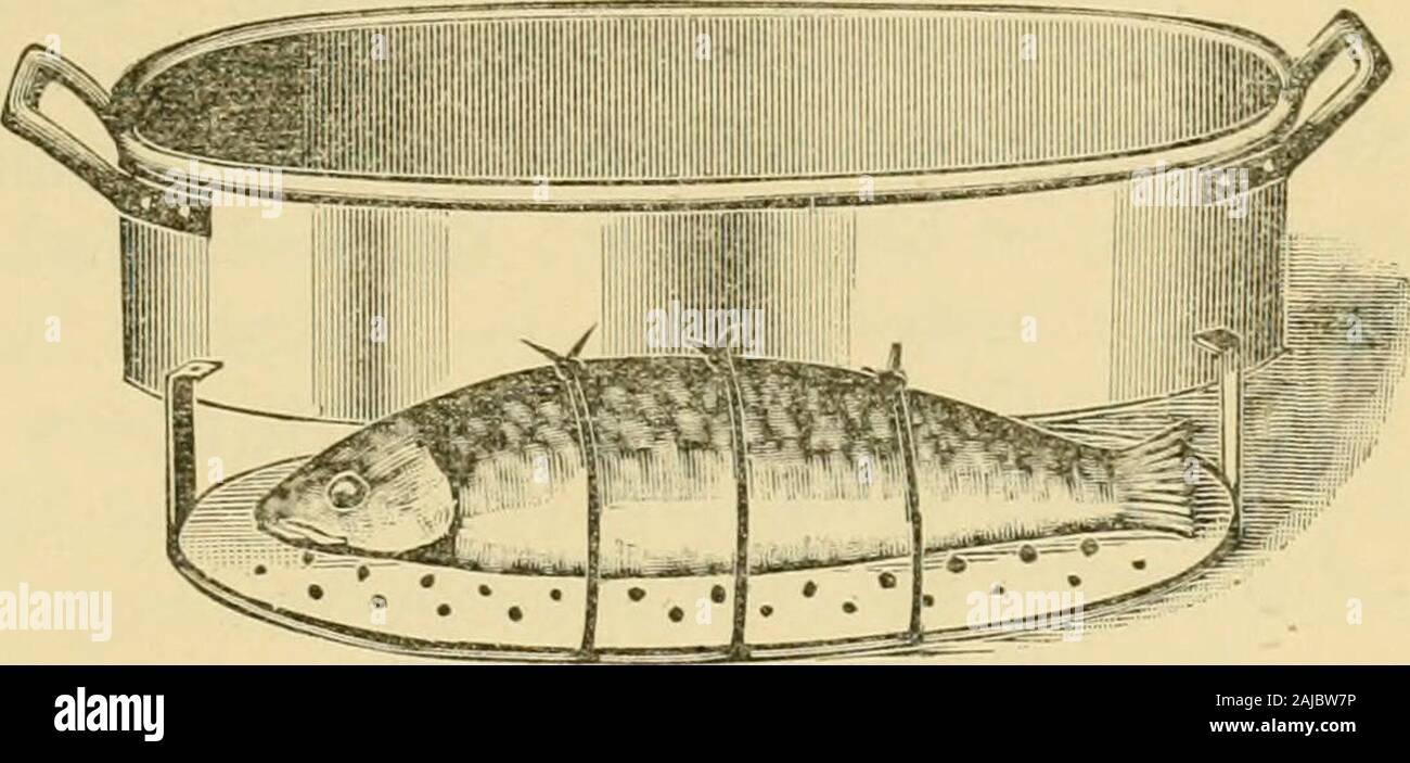 Describing size of a fish hi-res stock photography and images - Alamy
