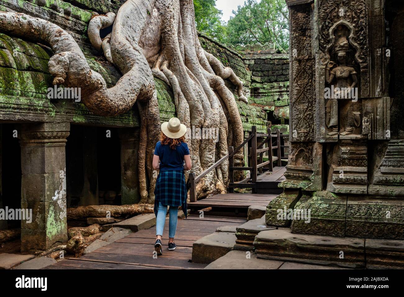 Traveler exploring the ancient ruins of Ta Prohm temple at Angkor, Siem Reap, Cambodia. Stock Photo