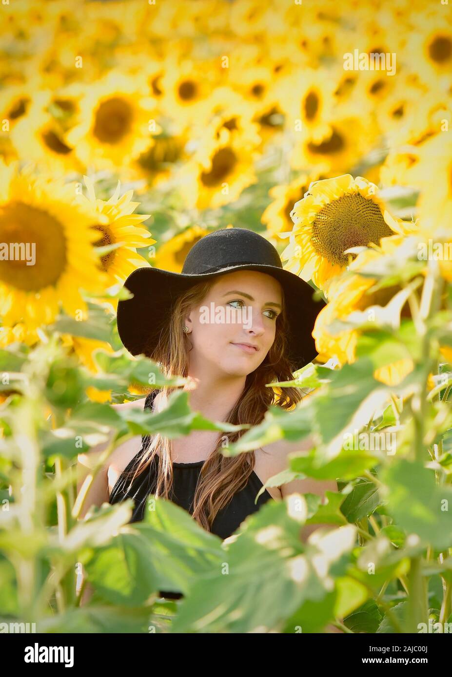 Sunshine beautiful woman hi-res stock photography and images - Alamy