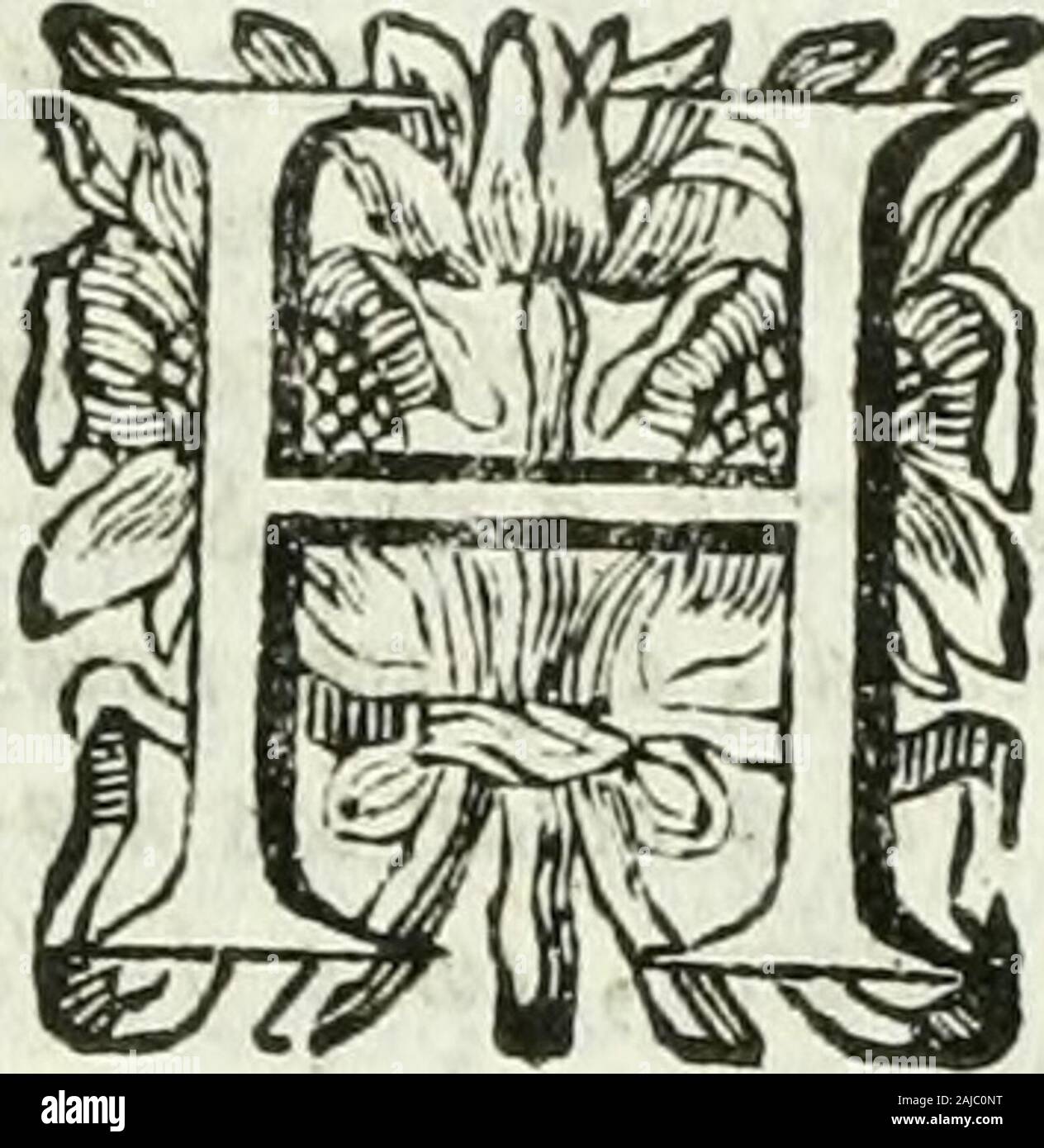 Historia general de los hechos de los castellanos en las islas i tierra firme del mar oceano . con grandífimaconfufion , que aunque el poco nume-ro de los Callellanos no les efpantaba,por otra parte la ofadia de querer ir áMéxico , i otras cofas que confidera-ban , les admiraban ; í entretanto Cor-tés fe informaba , i con diligen-cia inquiría todo lo que de1^ Tierra fe podíafaber. -Píjr ^Kír ^Ooár^(ú- «Pa^- -Paá- I. Libro Y. i^f q no po-día ícr fi-no quelosCaíte-llanoseráDíoles. CAT. XII. T&gt;e la Embaxada, que Mote fuma eml/iba Cortés : / fu refpíiejia ; i que fue á focorrer á Los Totonaques Stock Photo