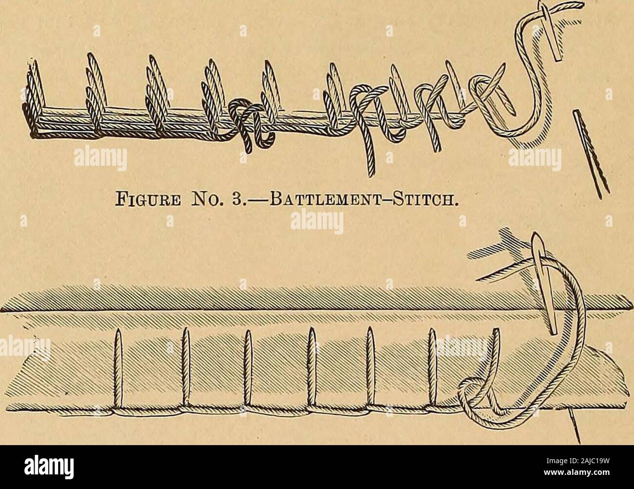 Fiona Boyes And The Fortune Tellers - by Paul Busch, image size:1300x1003