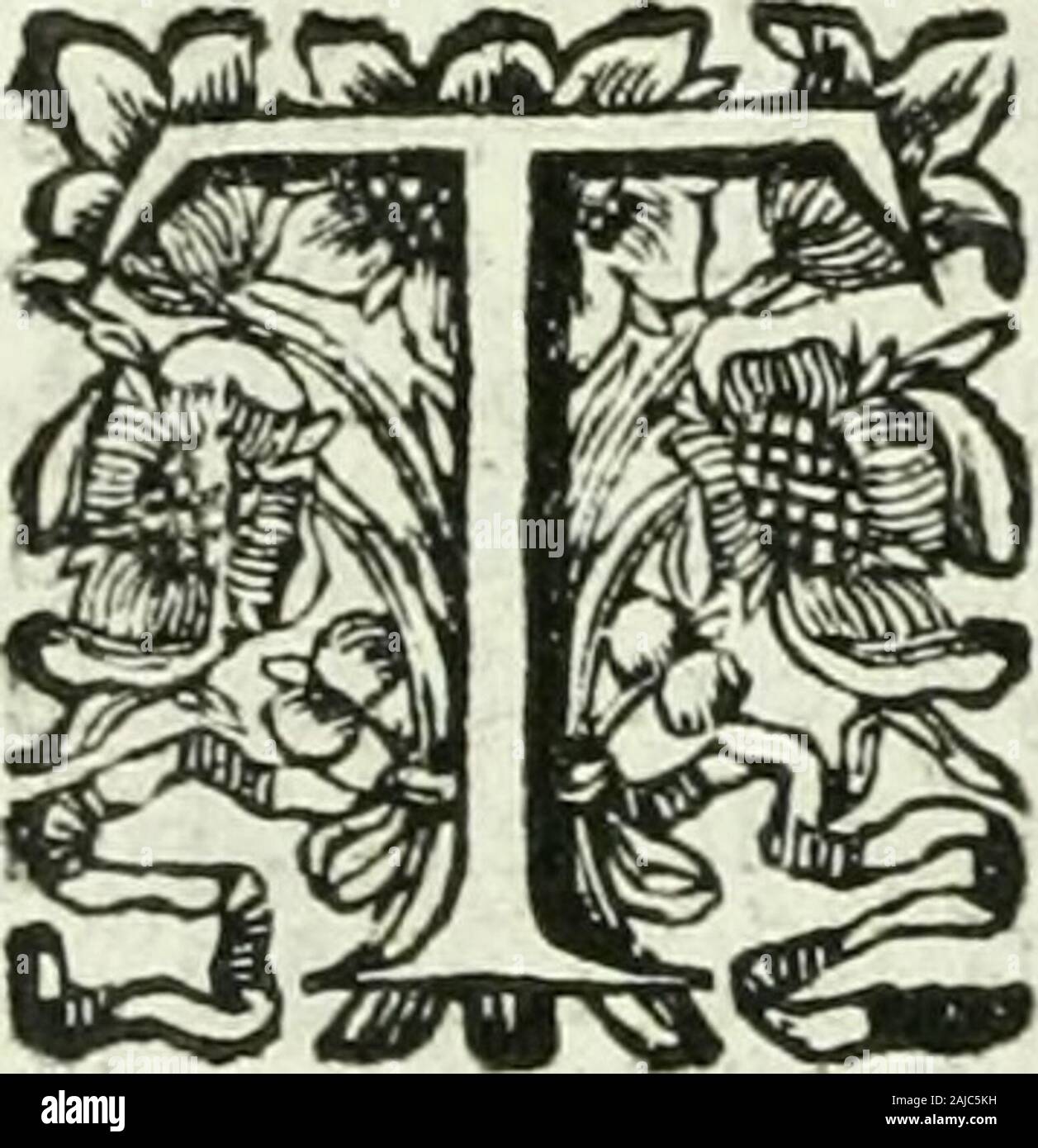 Historia general de los hechos de los castellanos en las islas i tierra firme del mar oceano . del Sur, la buelta de elCabo San Antón, i alli fe juntaron todoslos once Navios , i tomó mueftra á UGente , halló quinientos i ocho Solda-dos , ciento i diez, entre Maeftrcs, i Ma-rineros , diez i feis leguas , i Caballos,treinta i dos Balleneros, trece Efcópete-los , diez Piegas de Artillería de Bron-ce , quatro Falconetes , con buen reca-do de Pelotas , i Pólvora. Nombró porCapitán del Artillería á Francifco deOrozco,quc havia fido Soldado en Ita-lia, i era Hombre de valor : higo Pilo-to Maior á An Stock Photo