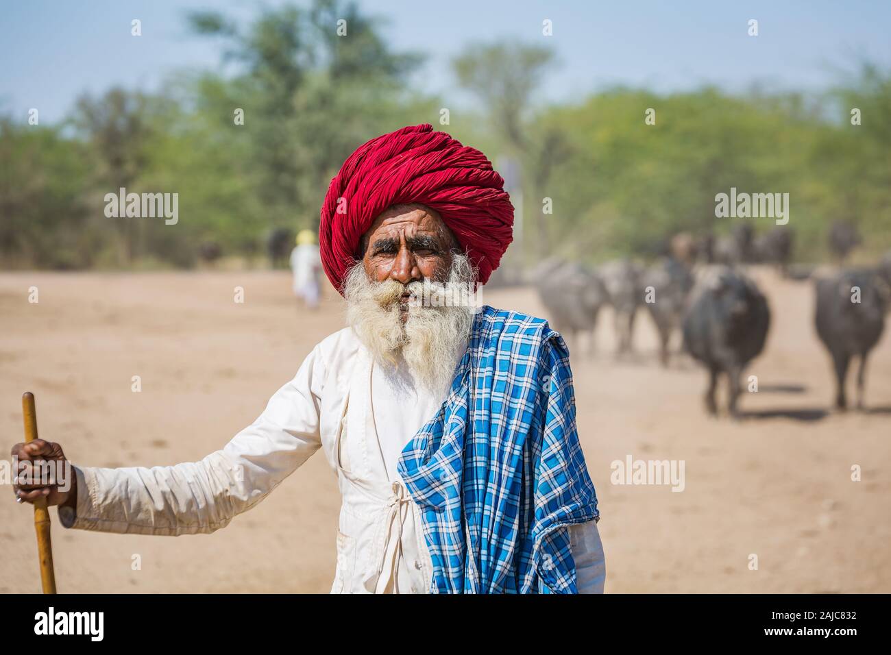 Old indian man long beard hi-res stock photography and images - Alamy
