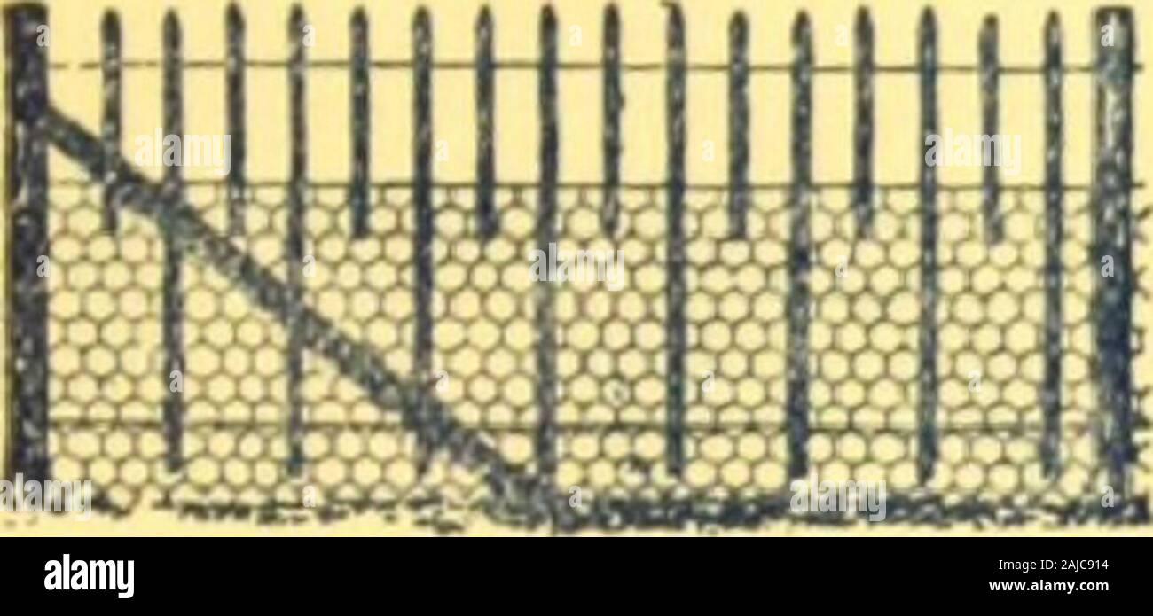 75mm X 125mm Fencing Posts For Post And Rail Fencing Post And Rail Fence Rail Fence Fence