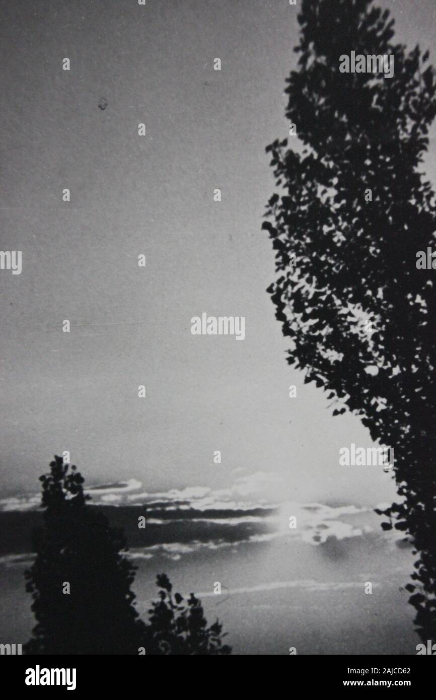 Fine 1970s vintage black and white photography of the beauty of nature ...