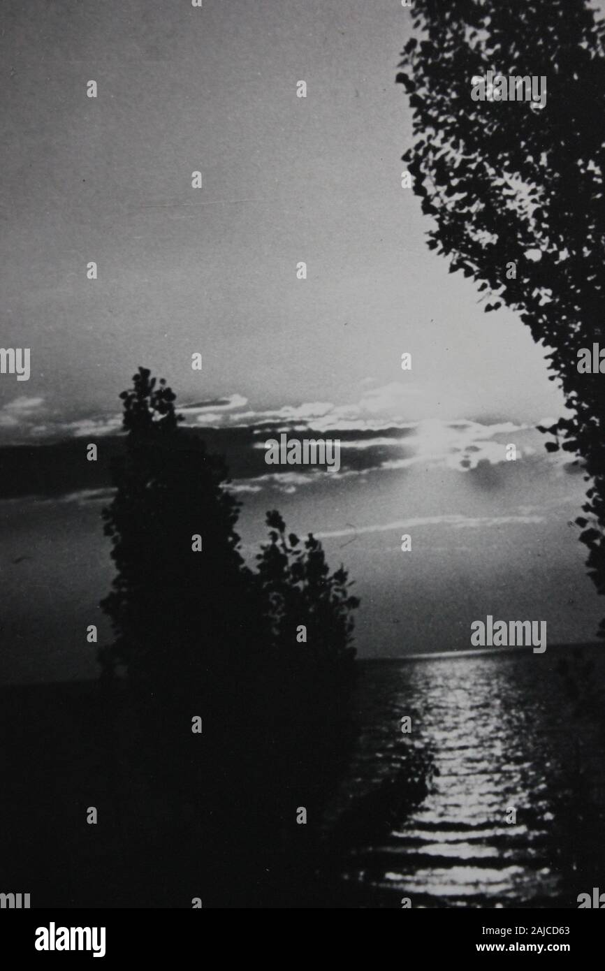 Fine 1970s vintage black and white photography of the beauty of nature ...