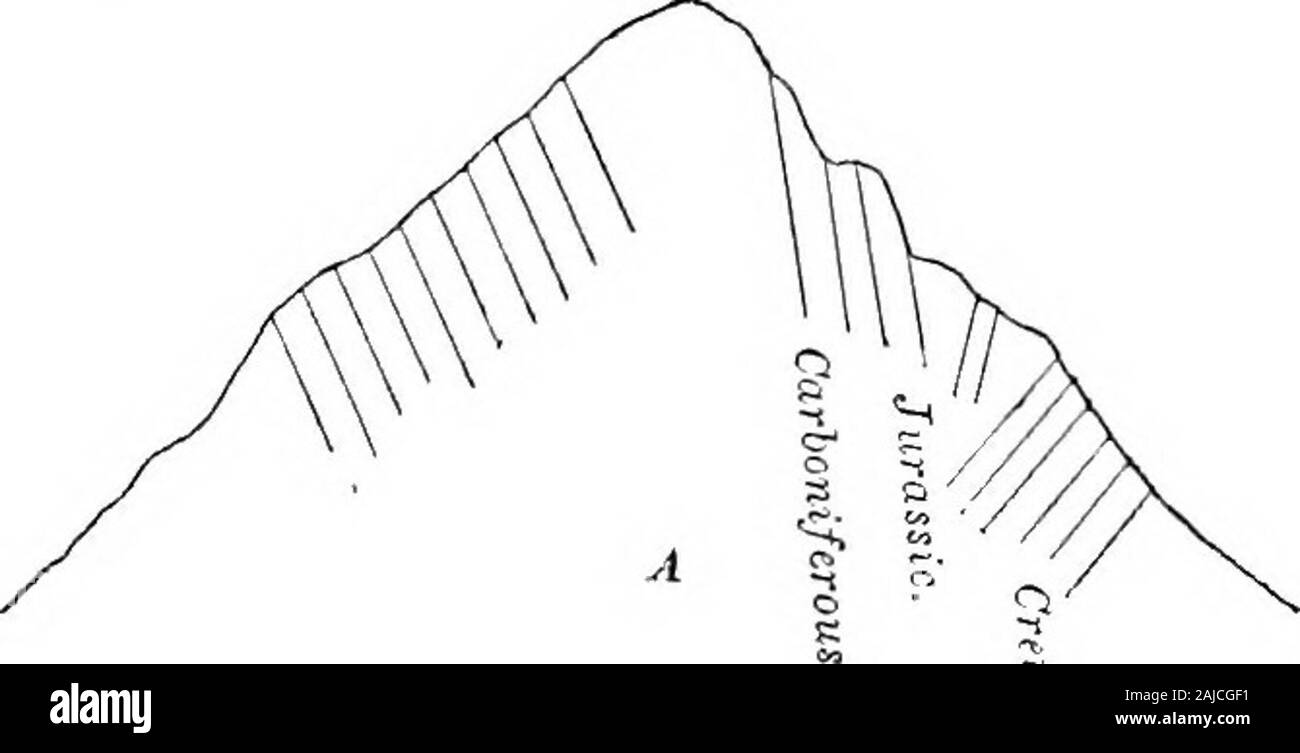 Report of a reconnaissance from Carroll, Montana Territory, on the upper Missouri, to the Yellowstone National Park, and return, made in the summer of 1875 . strata where indicated. No special importance is attached to these, except as showing the irreg-ularity which exists at different points. The younger rocks lie on the east side, the Carboniferous Fis. Stock Photo