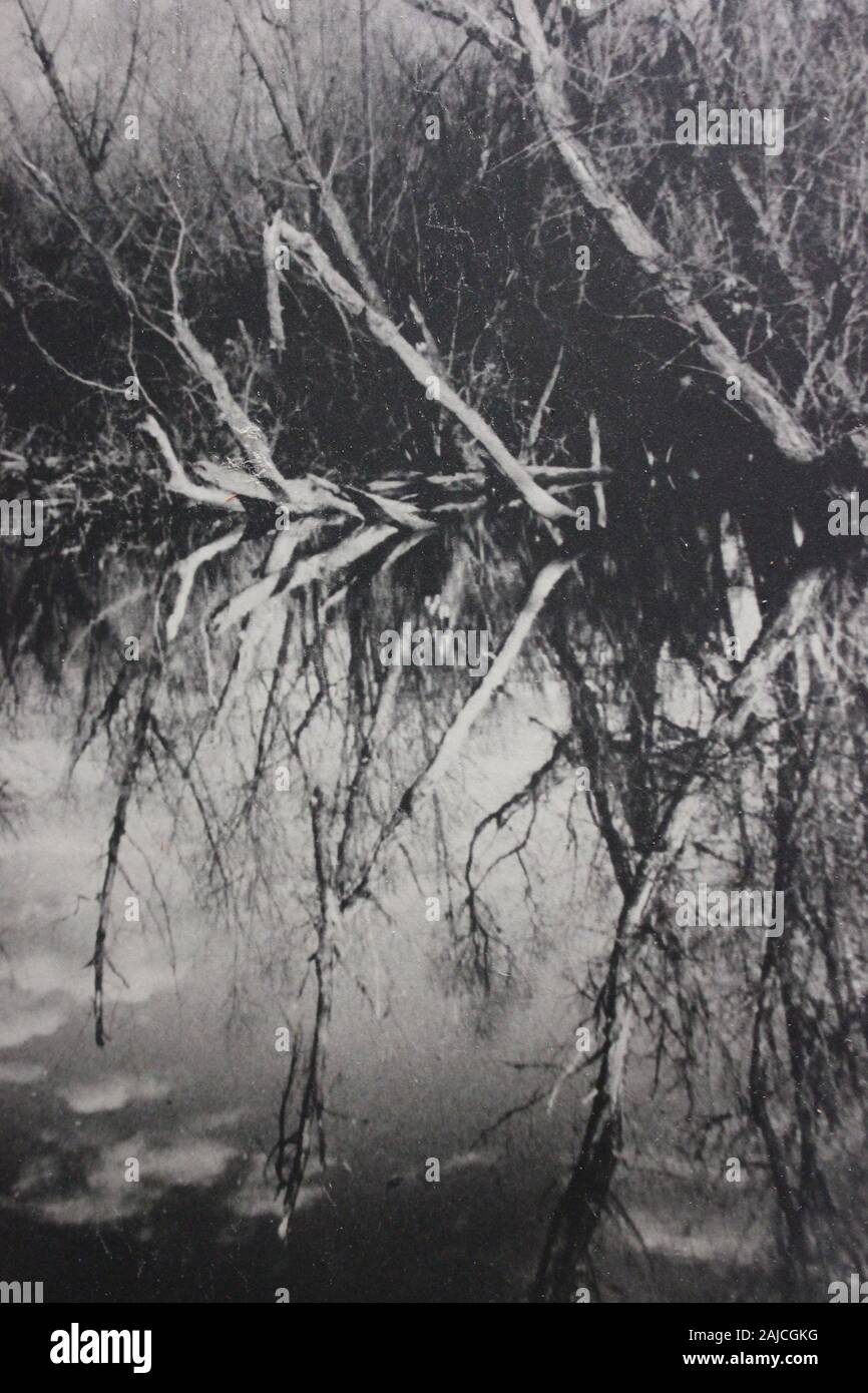 Fine 1970s vintage black and white photography of the beauty of nature ...