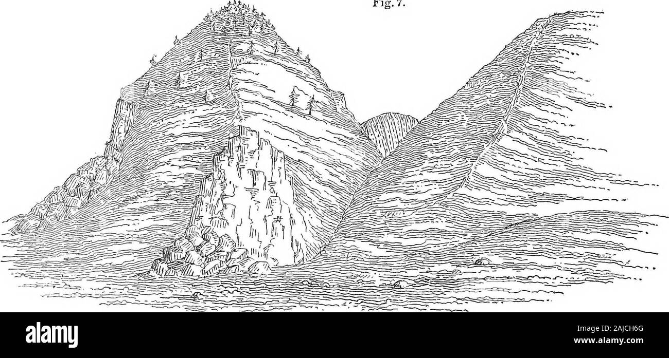 Report of a reconnaissance from Carroll, Montana Territory, on the upper Missouri, to the Yellowstone National Park, and return, made in the summer of 1875 . achyte, with acubical fracture breaking into large angular blocks, in striking contrast with the loose slabs of theother trachyte which cover the slopes of Cone Butte. This is probably a later dike, subsequent tothe formation of the other hills. This trachyte, as well as that of Cone Butte, was found in frag-ments abundantly over the prairie, even to a distance of fifteen miles from the mountains. It ischaracterized by large crystals of a Stock Photo