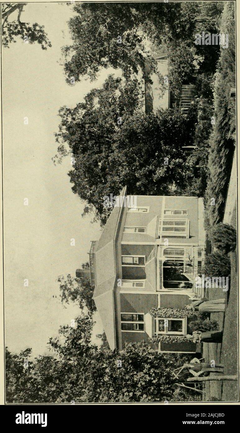 Trees Fruits And Flowers Of Minnesota 1 A J Philips 8 A L Breuig 1 Iver S Klagsvik 1 Henry Ginder 1 Ole Skinnemoen 2 C R Snyder 3 C Vanvliet Trees Fruits And Flowers Of Minnesota 1 A J Philips 8 A L Breuig 1 Iver S Klagsvik 1 Henry Ginder 1 Ole Skinnemoen 2 C R Snyder 3 C Vanvliet