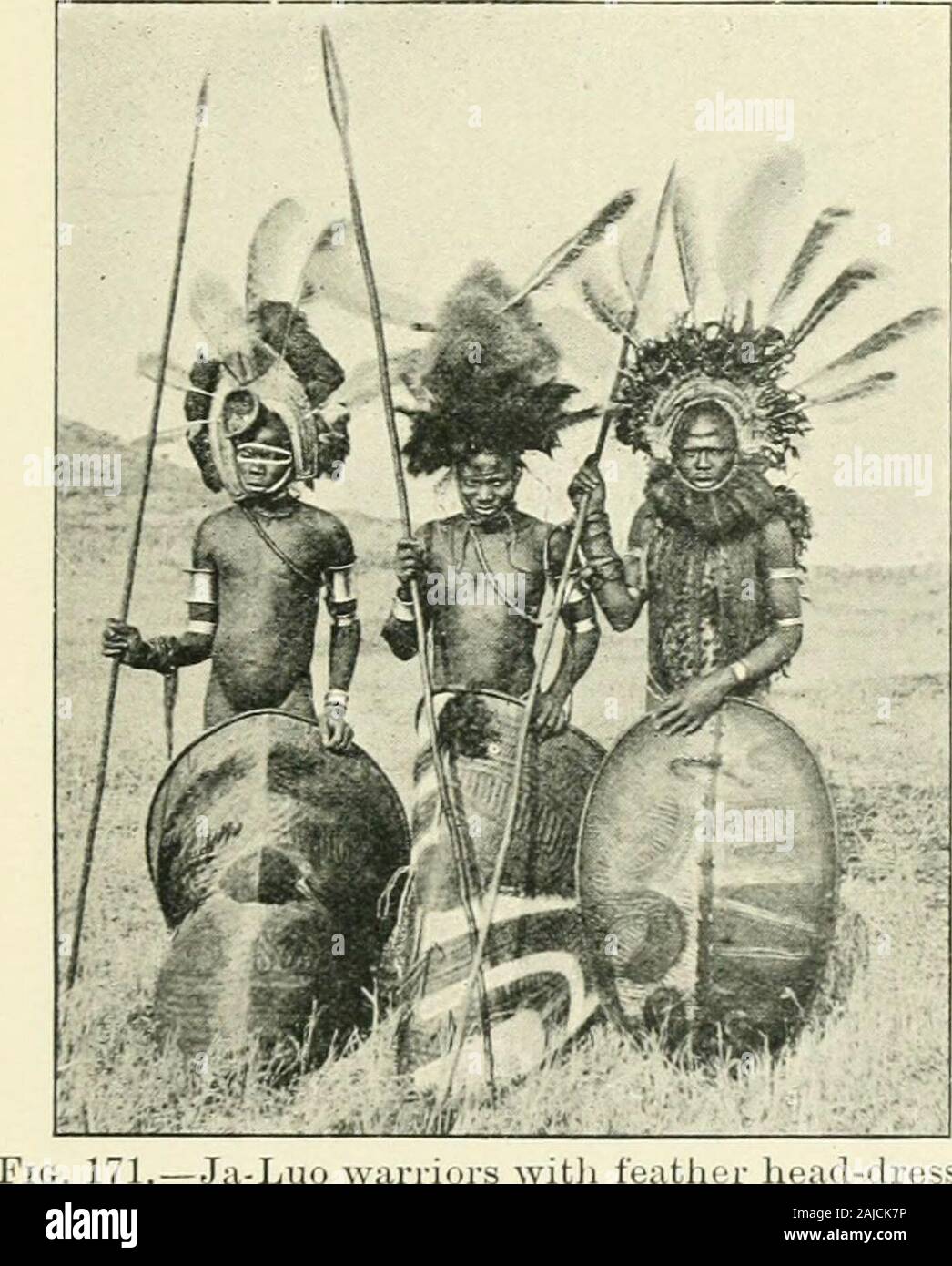 Handbook to the ethnographical collections . Fig. 170.—Nilotic shields. 1. Wood, Mundu, 2. Wood, Dinka.o. Hide, Lango. 4. Hide, Dor. typical tribes (Shilluk, Dinka, Alur, Acholi), while in the south-west and south-east are signs of admixture with Zandeh andHamitic peoj^les respectively. The iSilotic tribes are distini^uished bv the extreme scantiness AFRICA 195 of their clothing, men and unmarried girls go as a rule completelynude, and married women wear merely an ornamented goatskinor a fibre tail to mark their superior jDOsition. Most tribesextract the lower incisors and pierce the lips for Stock Photo