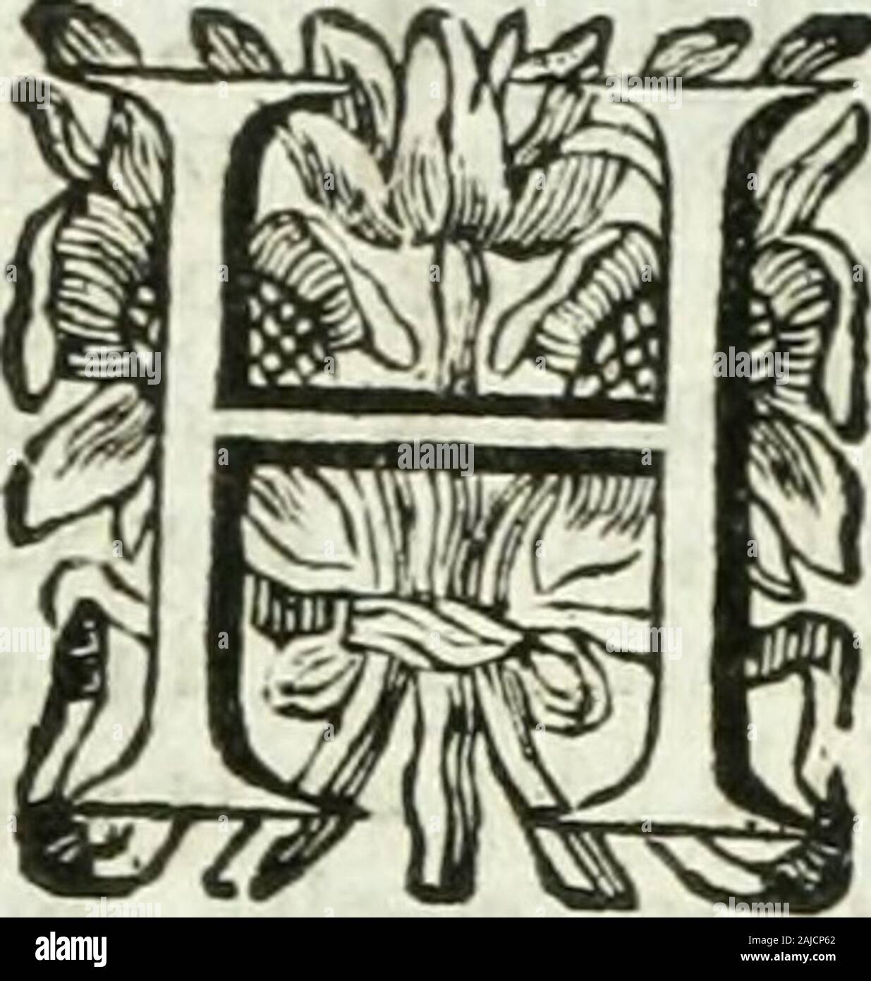 Historia general de los hechos de los castellanos en las islas i tierra firme del mar oceano . as de la- el Vizcocho , que llevaba el Mancebo,Camifas. repartiófe entre todos , i no llegó á dosongas por Hombre : Agua tampoco latenian , i era fu remedio lavarfe las ma-nos , i la cara con la de la Mar : i por-que entendian que moririan , íí la be-biefen , lo pafaban con la propria ori-na i i encomendandofc a Nueftra Seño-ra el Antigua de Sevilla, al cabo de on-ce Dias fe hallaron á tres Leguas dePuerto de Plata de la Isla Efpañola,j de donde havian falido , i llegaron á y falvamento, con grandifi Stock Photo