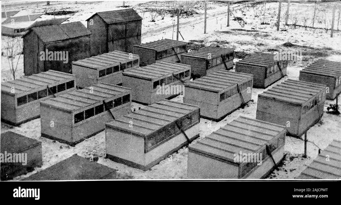 The Philo system of progressive poultry keeping . Fifteen breedirig pens, consisting of seventy-fiTe hens and fifteen cccl.eiels, are kept in these coops, occupying a space of twenty-five feet square. By sliding the muslin frame either end, the fowls may be cared for without touching the roof. The frame is generally slid to leave an opening of about three inches at one end for fresh air, except on zero days when it is closed.. When the nights arf- very cold and zero weather is expected, the roof of the coops are completely closed, leaving an air space of three-eighths of an inch between the mu Stock Photo