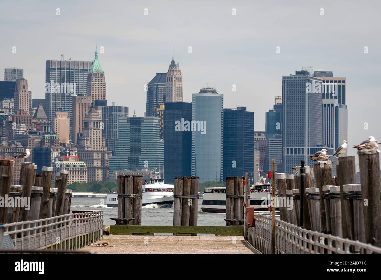 Seagulls at the Old Ferry Dock on Liberty Island near New York City, USA - Image Stock Photo