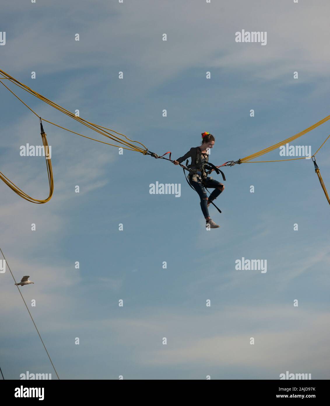 Bird and bungy jumper hires stock photography and images Alamy