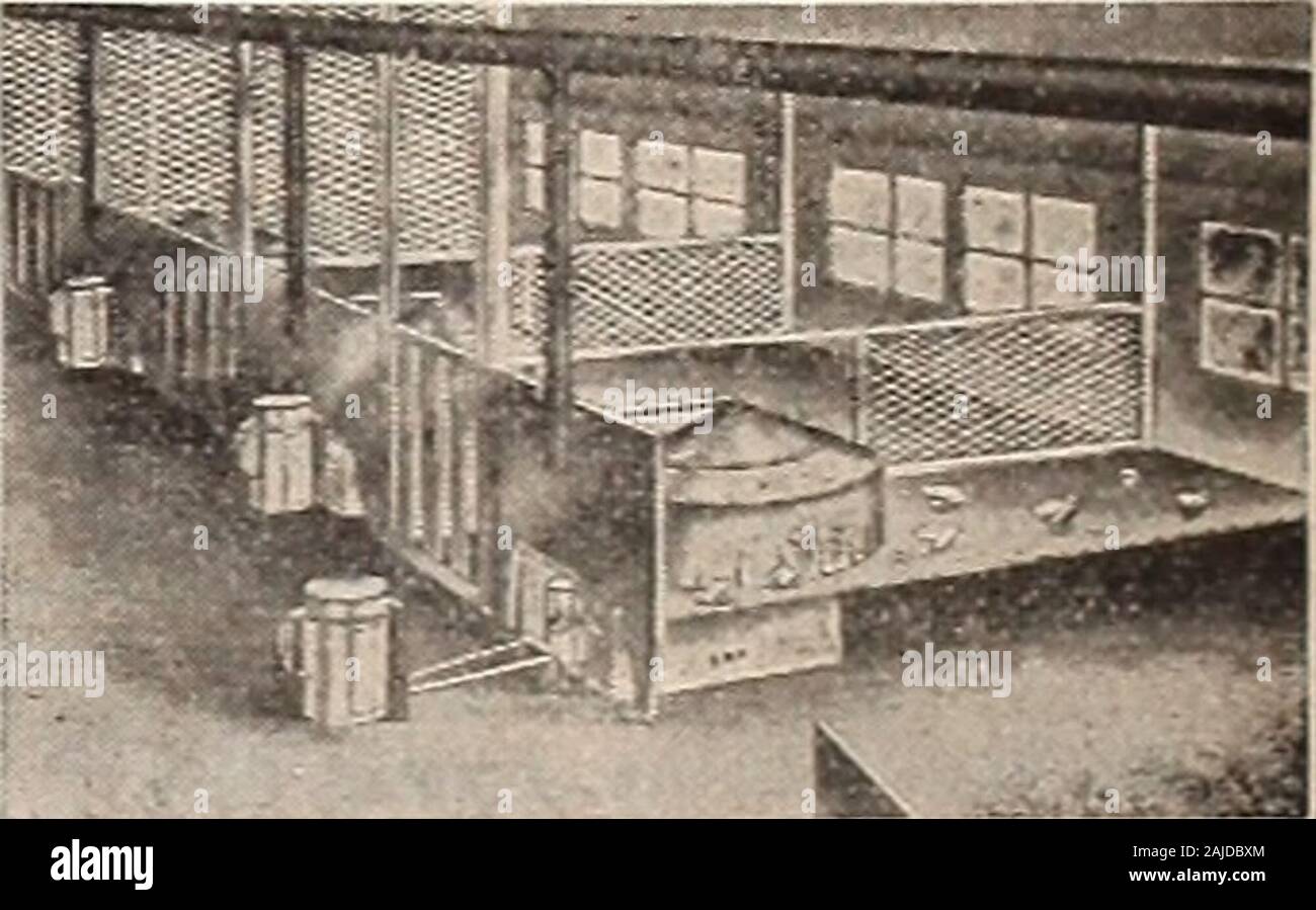 The Farm-poultry . ll me best method of ventil-ating the house? It would be rather hardto change windows. AVould it do to cutthe east end door in half, using a burla]«frame for the upper half? The pen.s aredivided by w ire partitions. Also, do you BOOK .More Corn to the Acre FREE If vou send names of 5 com or sCock grrowersand itcfui- a rear s tnai to Farmi Stock, the onl.v ;ri..ntlilydevoted to corn aud live stock. KeCTiir rate S. lwe make this o££er to get list of wide ai^ake growers.I Farm & Stock. 814 Charles. St. Joseph, Mo. PROTECTYOUR POULTRY., Fowls housed in draught-proof, dry and ver Stock Photo