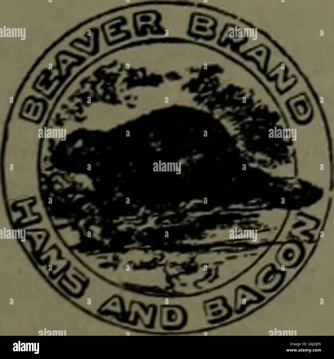 Canadian grocer July-December 1908 . Beaver Brand Ingersoll Hams and Bacon are to-day more widely and favorablyknown and consequently in better demand than any other brand of pork products sold in Canada.You have to spend no time in introducing this brand to your customers. Every piece bearsthe government mark Canada Approved Combined with this safe-guard is the carefulselection of every ham and side of bacon, the guaranteed sugar CUre, the uniform quality.The price is a little higher but then the proved results, a satisfied and regular customer andan increasing trade. If you are not selling I Stock Photo
