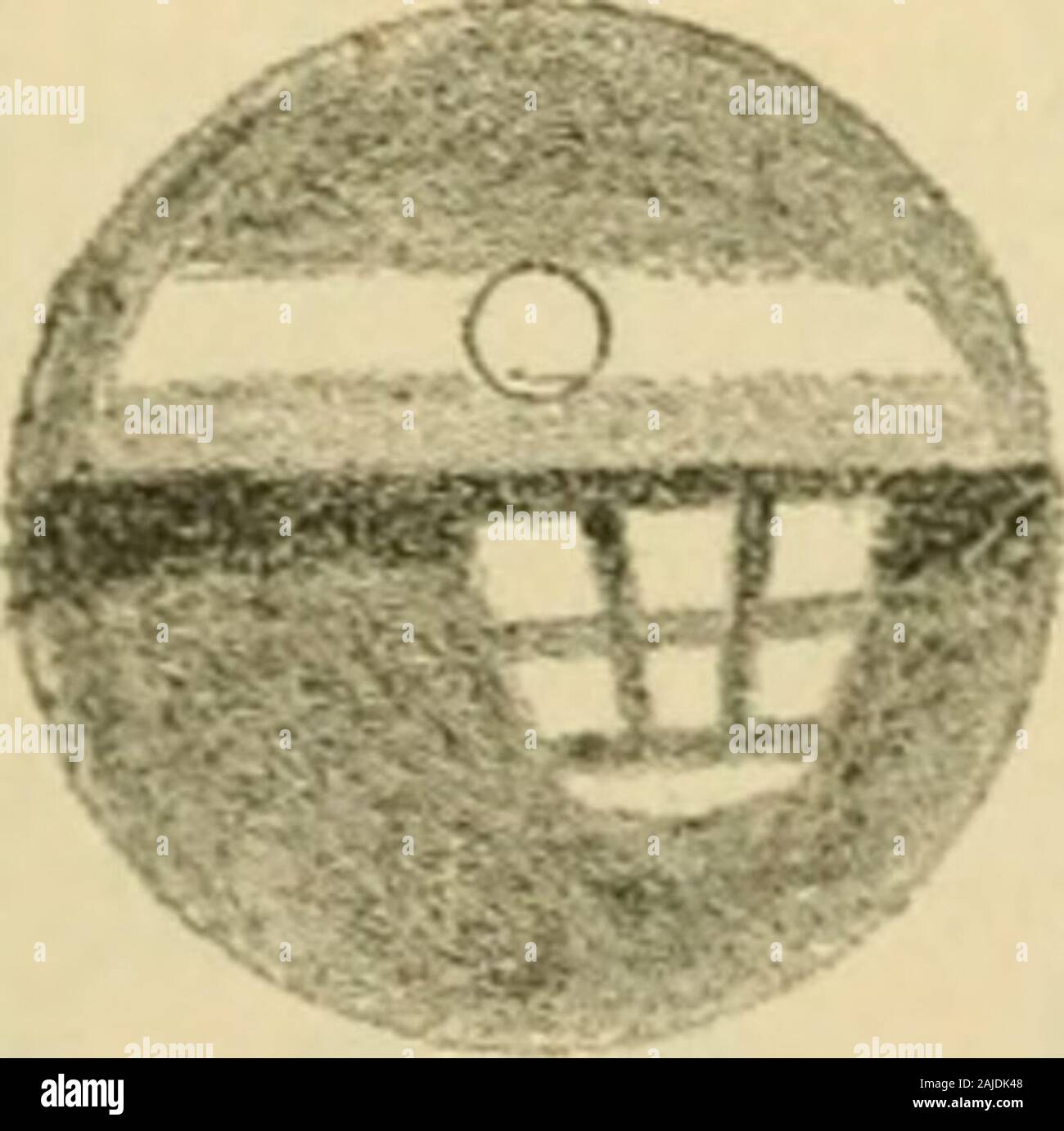 An American text-book of physiology . it will befound that the retina ...