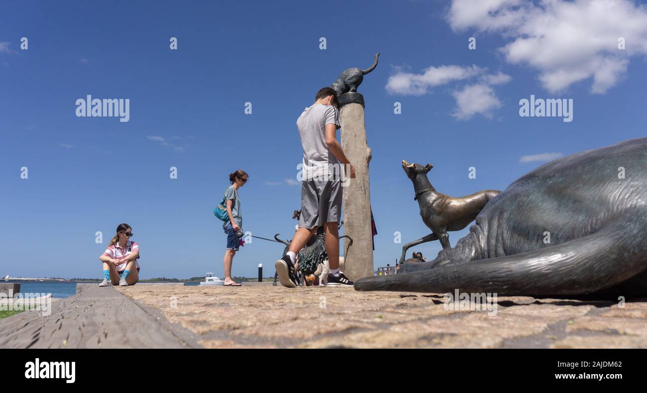 Tauranga New Zealand December 19 2019; Mother and children of family
