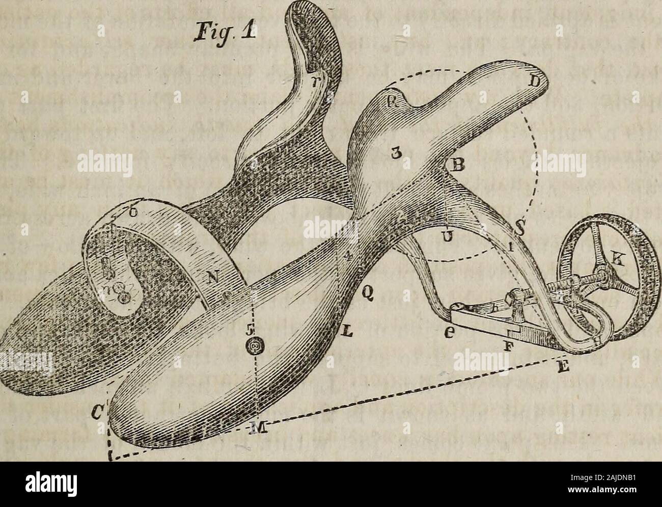 The Richmond medical journal . before long to be able topublish a description of this thoracic rest or support. We have come now to the most difficult part of our task, adescription of this speculum. Fig. 1 (half size) represents a front quarter view of the in-strument, expanded as* when introduced for use. The general features of it as shown, are outstretched arms,expanded wings, rolling surfaces, standing and projectingarches, broad, contracted, narrow and rounded points; and thethumbscrew arrangement indicates that the whole is moved bya system of leverage. The proportions of the instrument Stock Photo