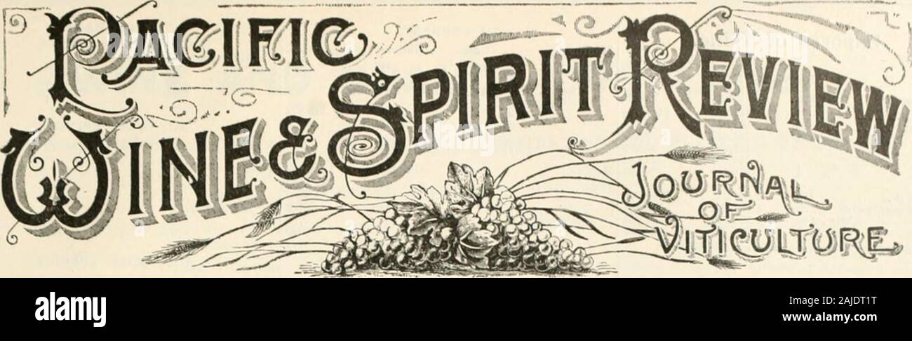 Pacific wine and spirit review . ^W§. NKW YOUK; 202 Whst 80tu St.Gold Mkdal Foe Shhiiiiiks and Sweet Wines, UriiLiN Eximsition, 1892, and Columhhn Exposition, Cuicaoo, 1893. EISE]M VljMEYARD CO. PIONEER PRODUCERS OF eso Antes ?^ij^ iAZ E E T /Y I N E S i&lt;^ Office, 12 Stevenson Street. S. F. Sond for Price LIbtand Samples. .. VOL. XXXVIir. No. 12. SAN FRANCISCO, JULY 24, 1897. $1.50 PER YEAR Issued Semi-Monthly. H^OOn dr- SCOTT, - - PUBLISHERS WINFIELD SCOTT. EditobR. M. WOOD. Man.gcH 123 CALIFOUNIA St., SAX FRANCISCO, CAL. TBLEPHOSE XO. 709 CABLE ADDRESS-Fl EI.VWIS.- t&gt;Atf I RA^C : SCO Stock Photo