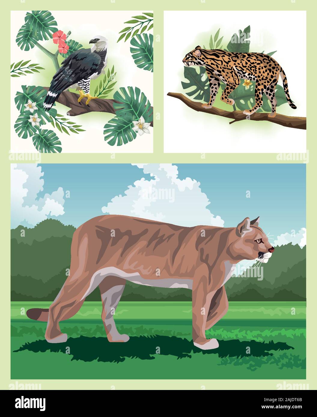 group of wild and exotic animals Stock Vector