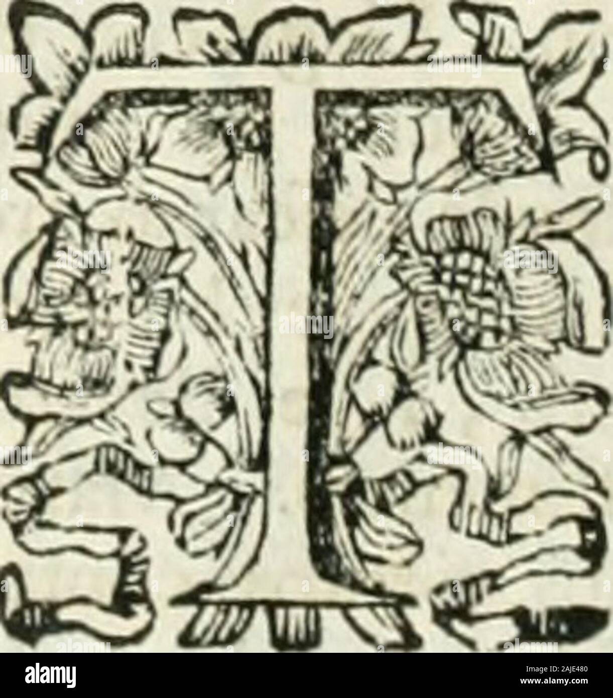 Historia general de los hechos de los castellanos en las islas i tierra firme del mar oceano . algunos Años deí^pues fe le confirmaron. Era D. Bartolo-mé Hombre mui labio, i tan diellro enlas colas de la Mar , como el Hermano,algo aipero de condición , mui valiente,i libre : lo qual fue c:mf, , que le abor-rcciefcn algunos : tenia otras partes muiloables , i de Hombre mui valeroió , icuerdo. CAT. XVI. ^e los hidios de. feaban hechar de fu Tierra a los CaJlella?íos : i que Alonfo de OJeda prendió al Rei Caotiabo. i49 4. El ReíCarlos deFrancia.dicho elCabecil-do &gt; dicea D.Bar-tholomeColón en Stock Photo