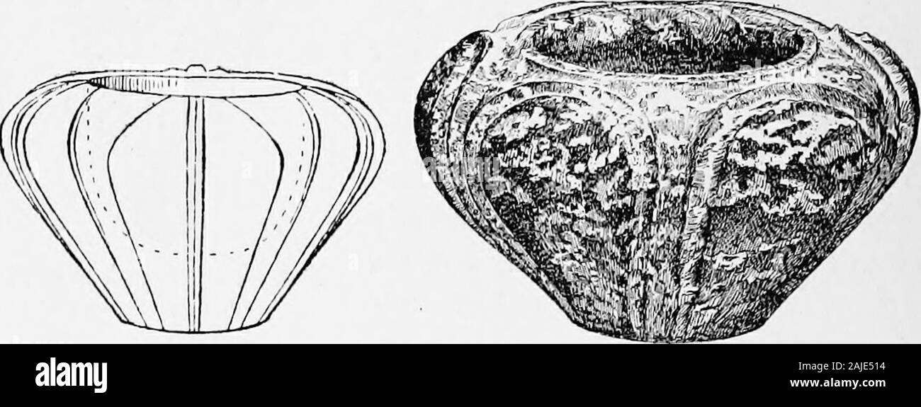 Ægean archæeology; an introduction to the archæeology of prehistoric Greece . Fig. 9.—Lamp of purple gypsum. Scah . vessels were commonly made of grey steatite ; espe-cially noticeable are the beautiful and also extremelycharacteristic steatite pots in the form of flowers,. Fig. 10 —Flower vase. Fig. II.—Flower vase ; later type.British Museuvi. Scale ,. which are seen in most collections of Minoan antiquities(Figs. 10, 11).^ The repousse decoration of the rims and handles oftwo bronze vases from Cyprus is shewn in PI. XVIII. JLATE XVni Stock Photo