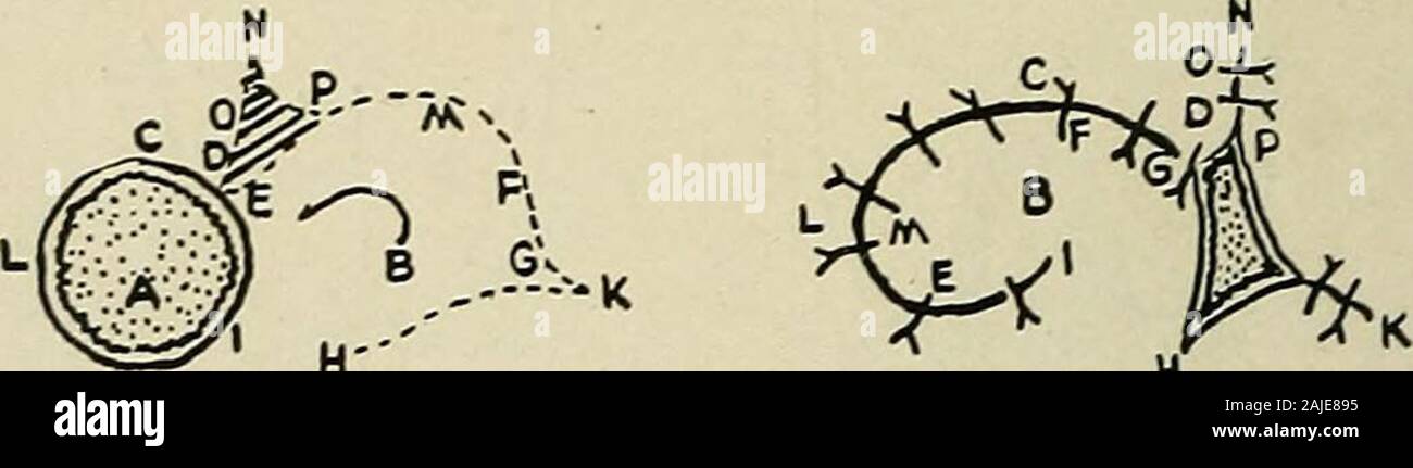 Plastic Surgery Its Principles And Practice 24 Plastic Surgery Methods Of Closing Defects By Means Of Pedunculated Flaps From Adjacent Skin Continued H H Fig 41 Szymanowskis Method R Stock Photo Alamy
