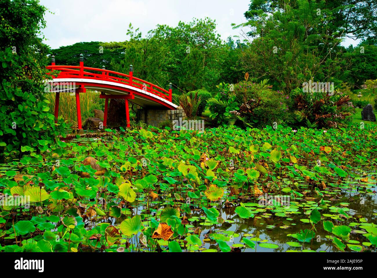 Japanese Garden Singapore Stock Photo Alamy