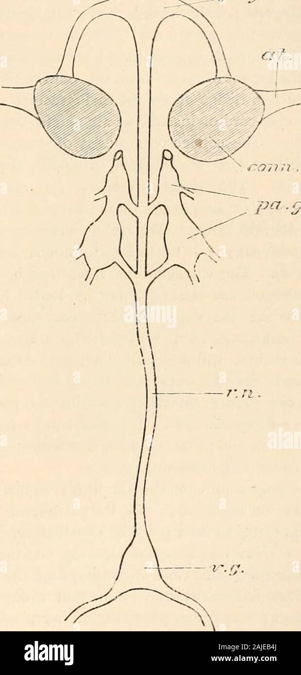 Hardwicke's science-gossip : an illustrated medium of interchange and ...