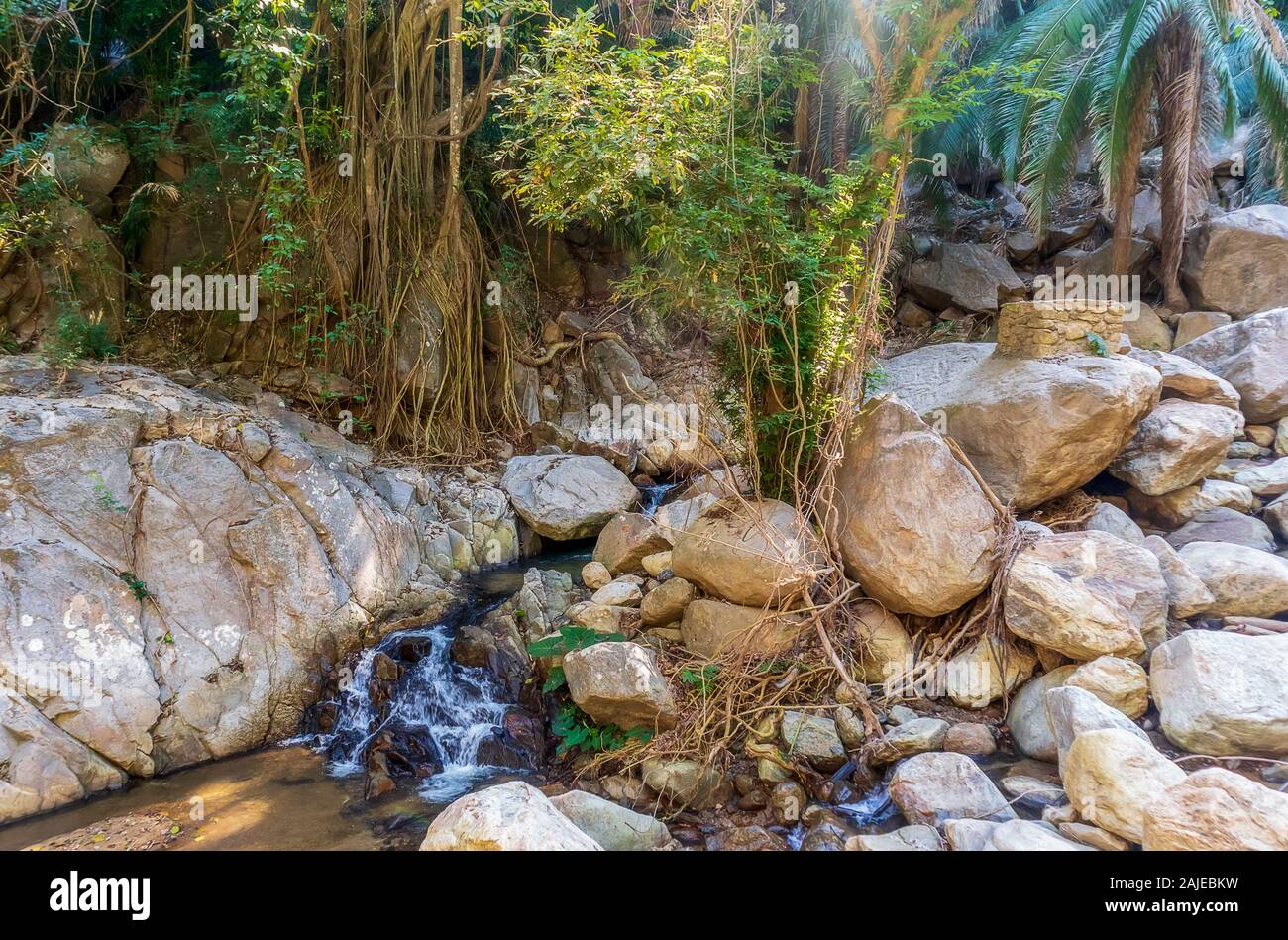 Cascada de Yelapa - Beautiful Tropical Waterfall in Yelapa, Jalisco, Mexico. Stock Photo