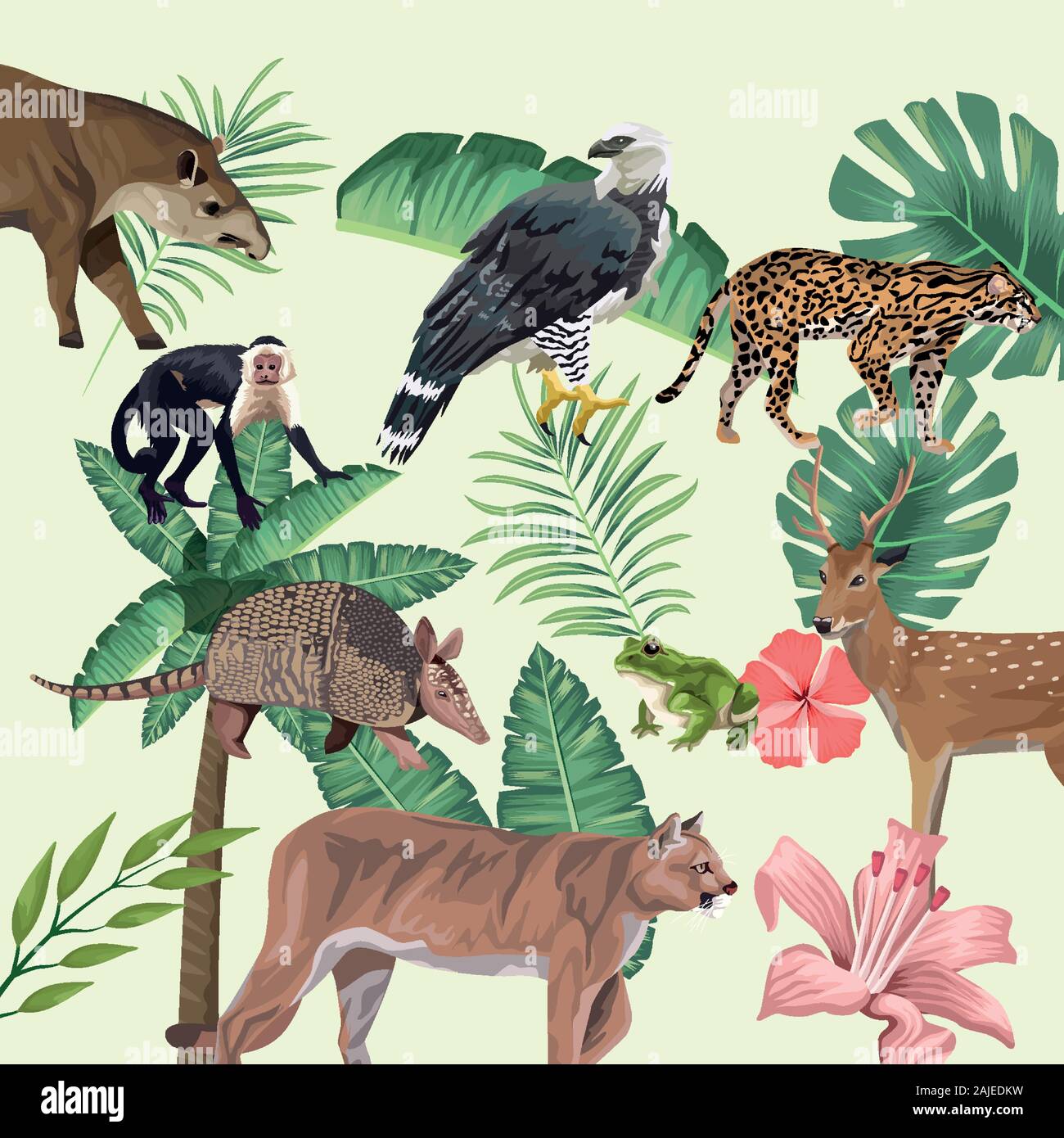 group of wild and exotic animals Stock Vector Image & Art - Alamy group of wild and exotic animals Stock Vector Image & Art - Alamy