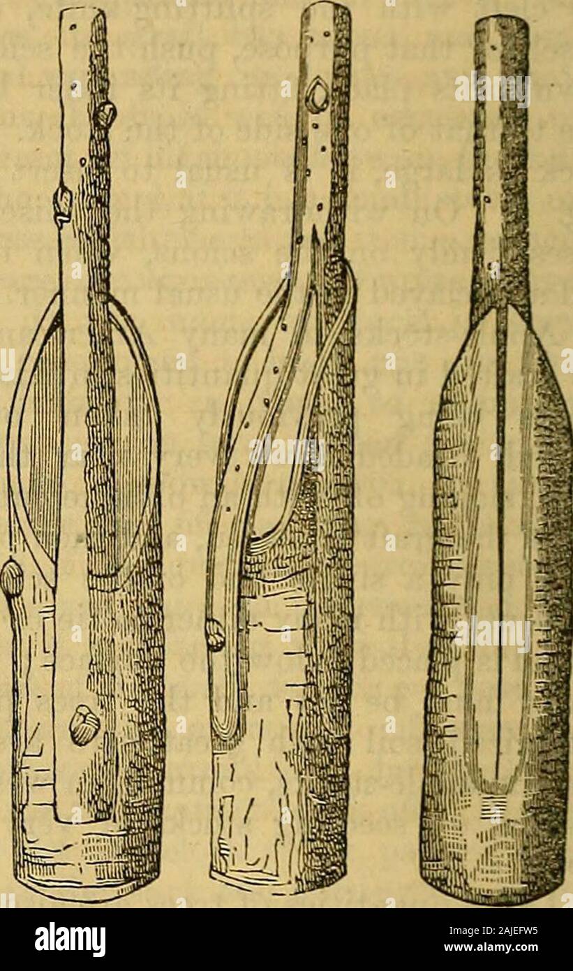 Saddle grafting hires stock photography and images Alamy
