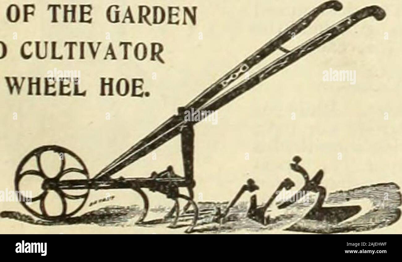 Florists Wholesale Catalogue Seeds Bulbs Plants C Prices Planet Jr Wheel Hoes For Hand Power Equipment Hoes Cult 1 Rakes Leaf Lifter R 6 In 1 4 In Teeth 3