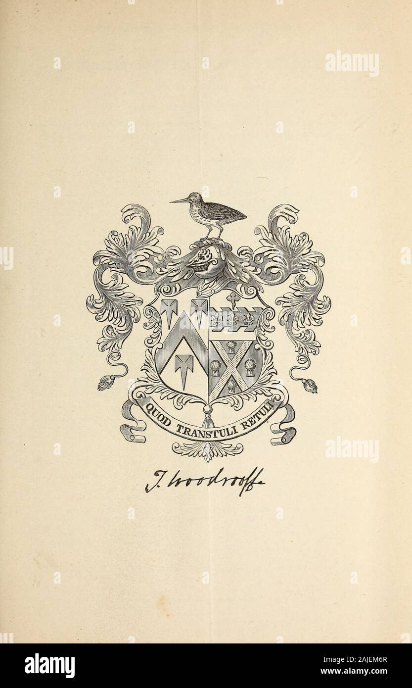 Miscellanea Genealogica Et Heraldica Np R 5 O R Co H 03 Bfir I O 5 P O Rt Bc 03 Fh 9 D 03 O 1 1 03 4 J