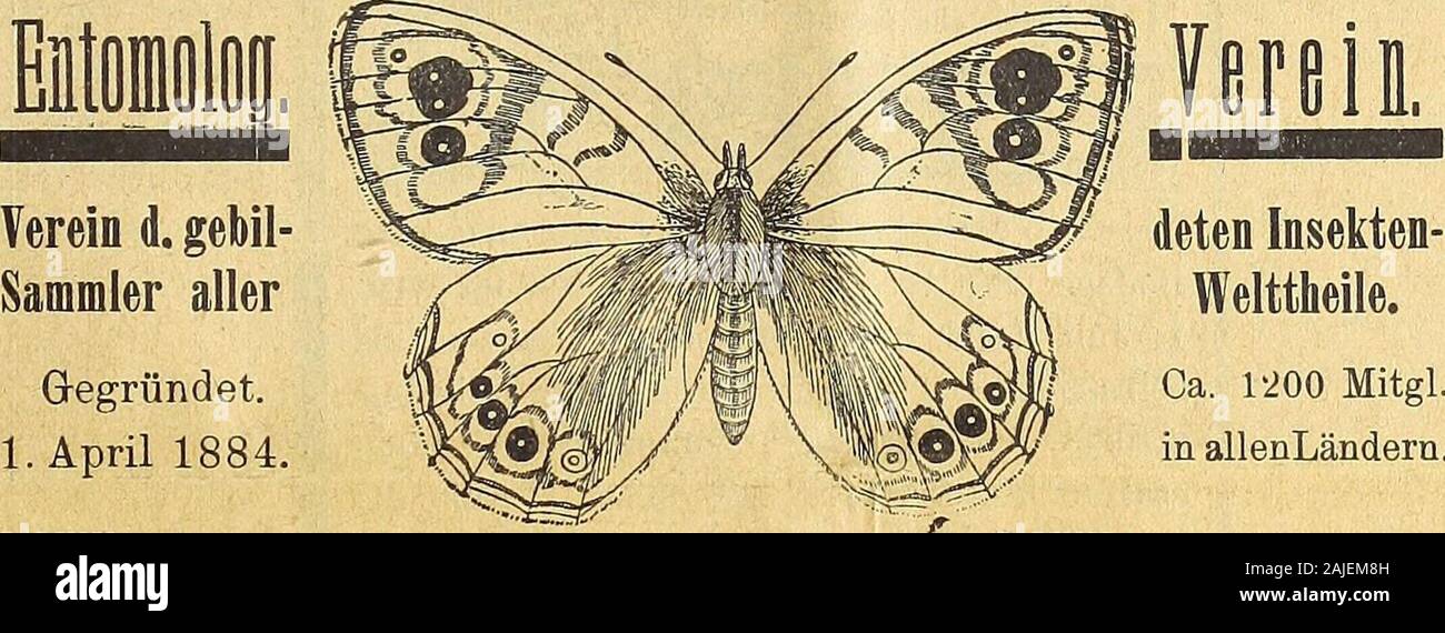 Insektenborse. . entgegengenommen. Zugleich ersucht derselbe um recht baldige Ueberraittelungder Vereinsberichte vom Jahre 1897, sowie um freundliche Zu-stellung der neuesten entomologischen Litteratur. Die Zusendungen werden bis spätestens Ende Mai 1898erbeten und sind nur zu richten an Die Redaktion des Entomologischen Jahrbuches: Dr. 0. Krancher, Leipzig, Lindenstr. 2, IL Für nur 14 Mark endet in tadellos frischen unden Stücken: Hyp. helios ,1. u. staudingeri Q, ApolloniusCol. pamire q? (Pamire).me gegen Nachnahme, od.endung d. Betrages. [723Thiele, Berlin, Steglitzstr. 7. JLoos Südamerika. Stock Photo