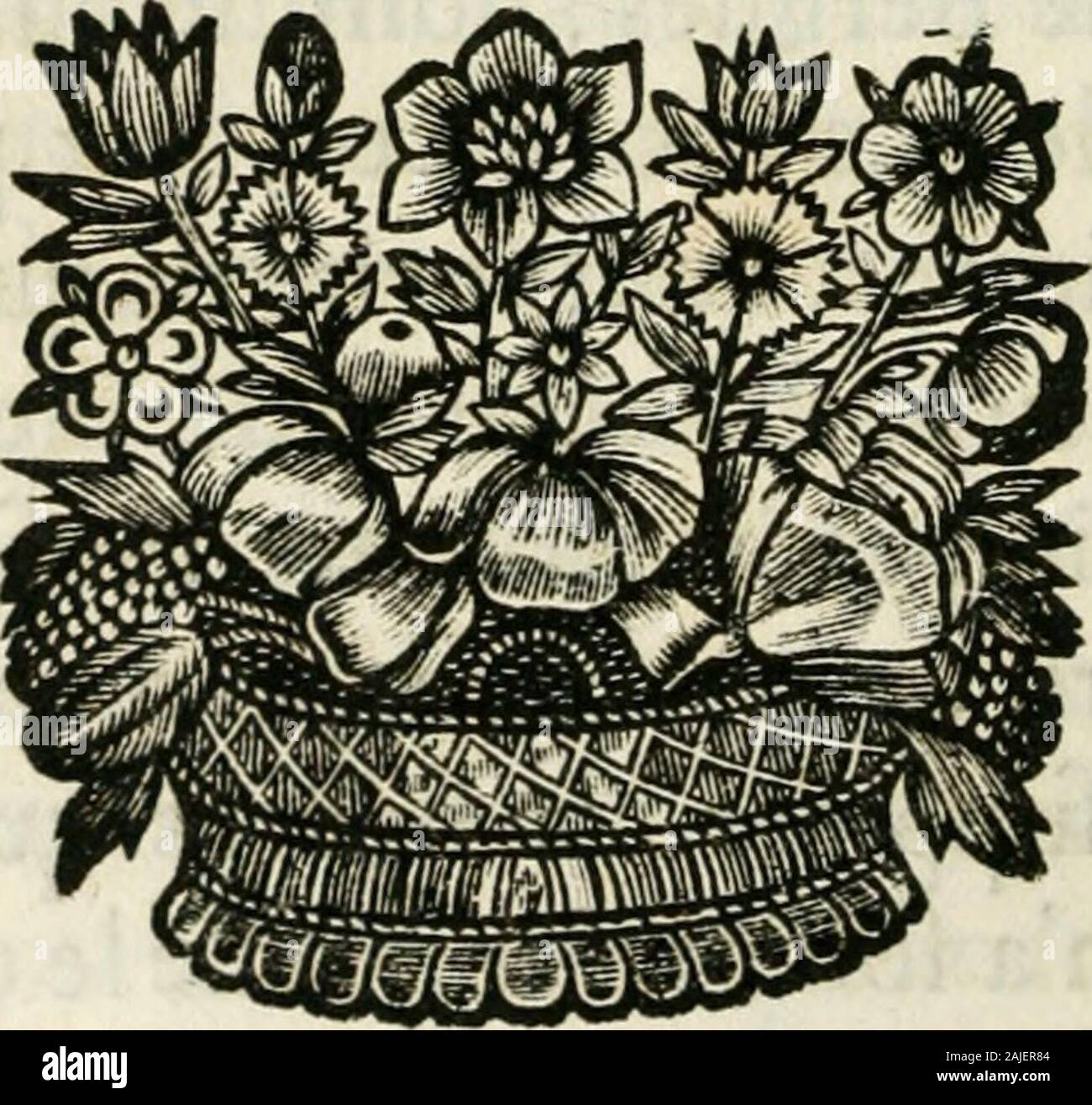 Tois High Resolution Stock Photography And Images Alamy