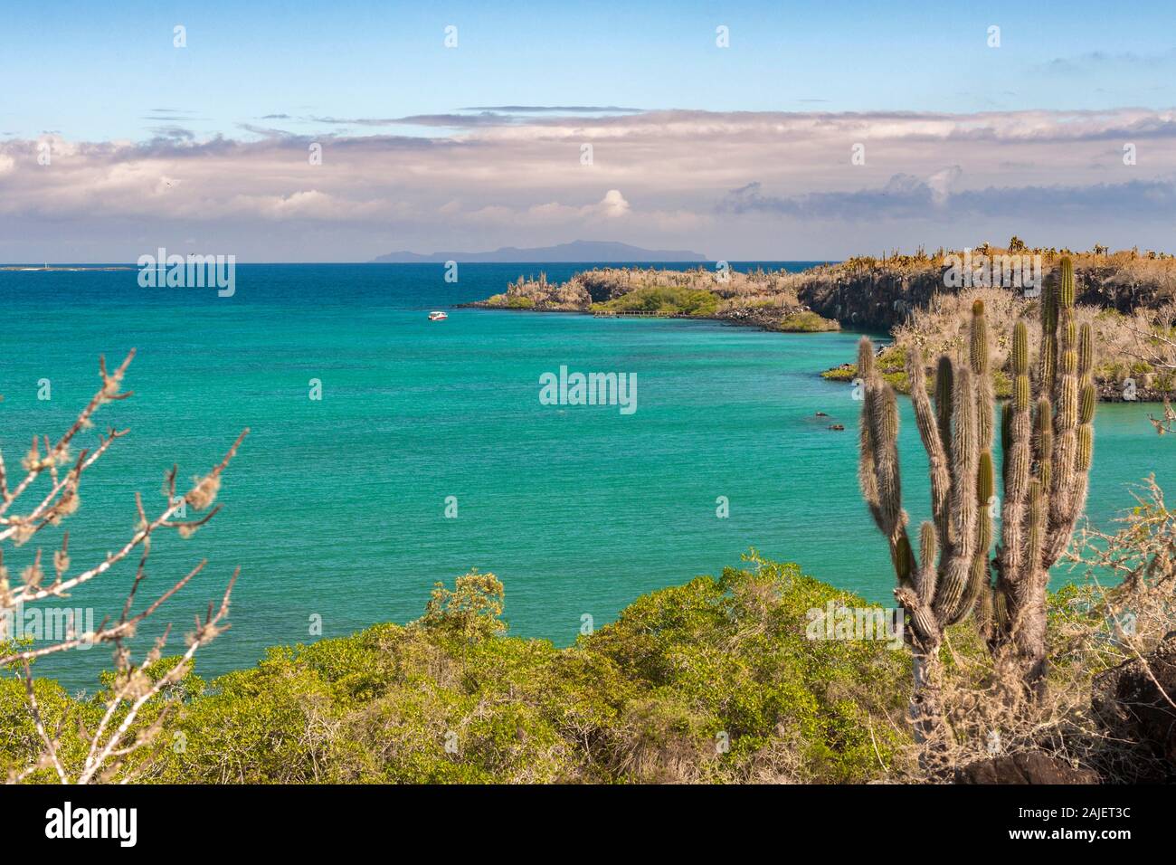 Franklin Bay, Santa Cruz island, Galapagos, Ecuador. Stock Photo