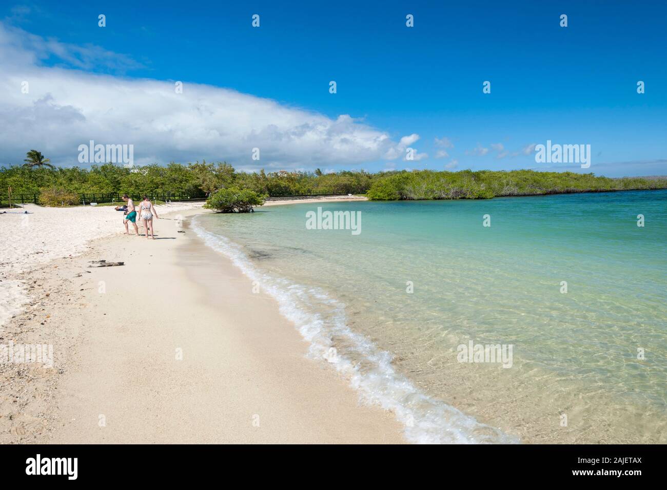 Playa Los Alemanes, Santa Cruz, Galapagos, Ecuador. Stock Photo
