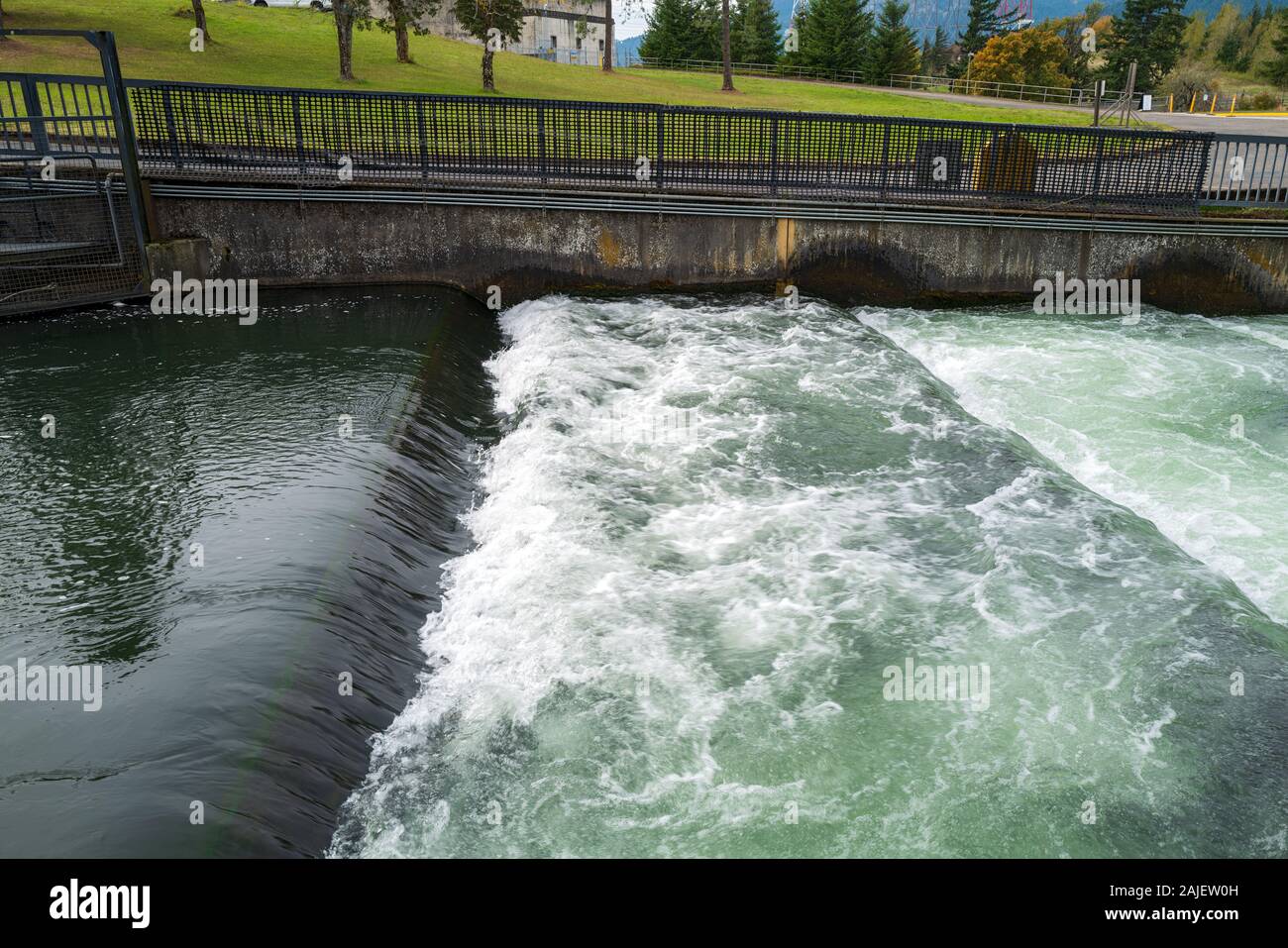 A Section of a Fish Ladder at the Bonneville Dam, Cascade Locks, Oregon