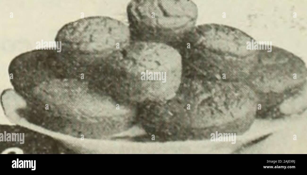 The literary digest . Try one o{ these money saving collars at our expense. State size wanted on postal. REVERSIBLE COLLAR CO., Dept. C Boston, Mass. DolicicMis Muffins. for-Dicibotic^ Tasty, appctiziiiR niulVins bakixl from a tlourendorsed by dietitians—approved by AmericanMedical Association— Stock Photo